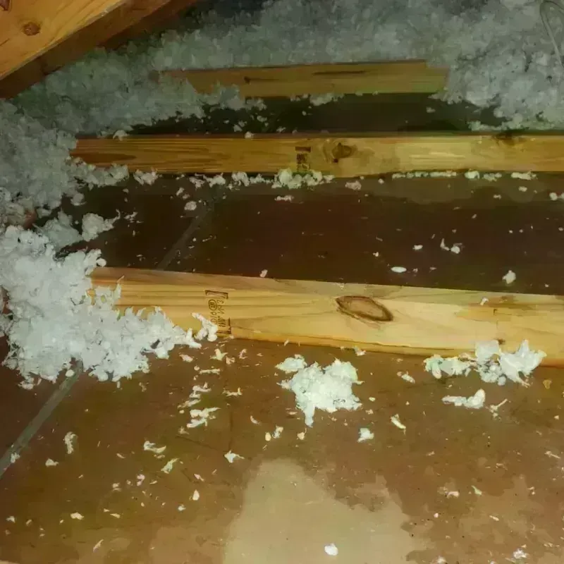 Attic Water Damage in Aguilita, PR